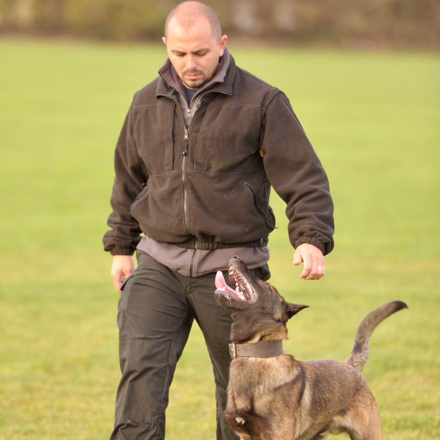 Dog-and-handler training archive