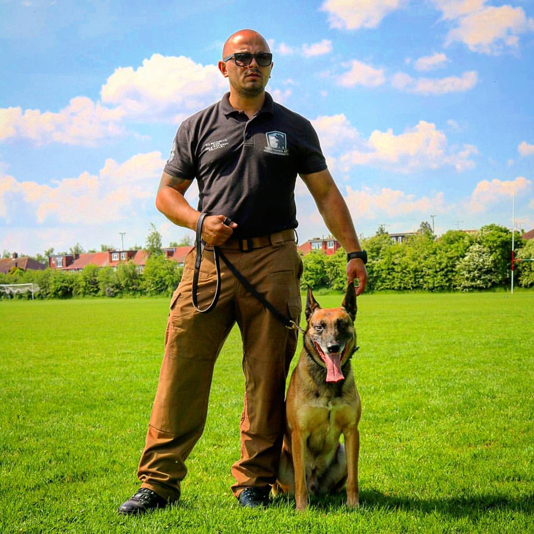 Working dog training archive