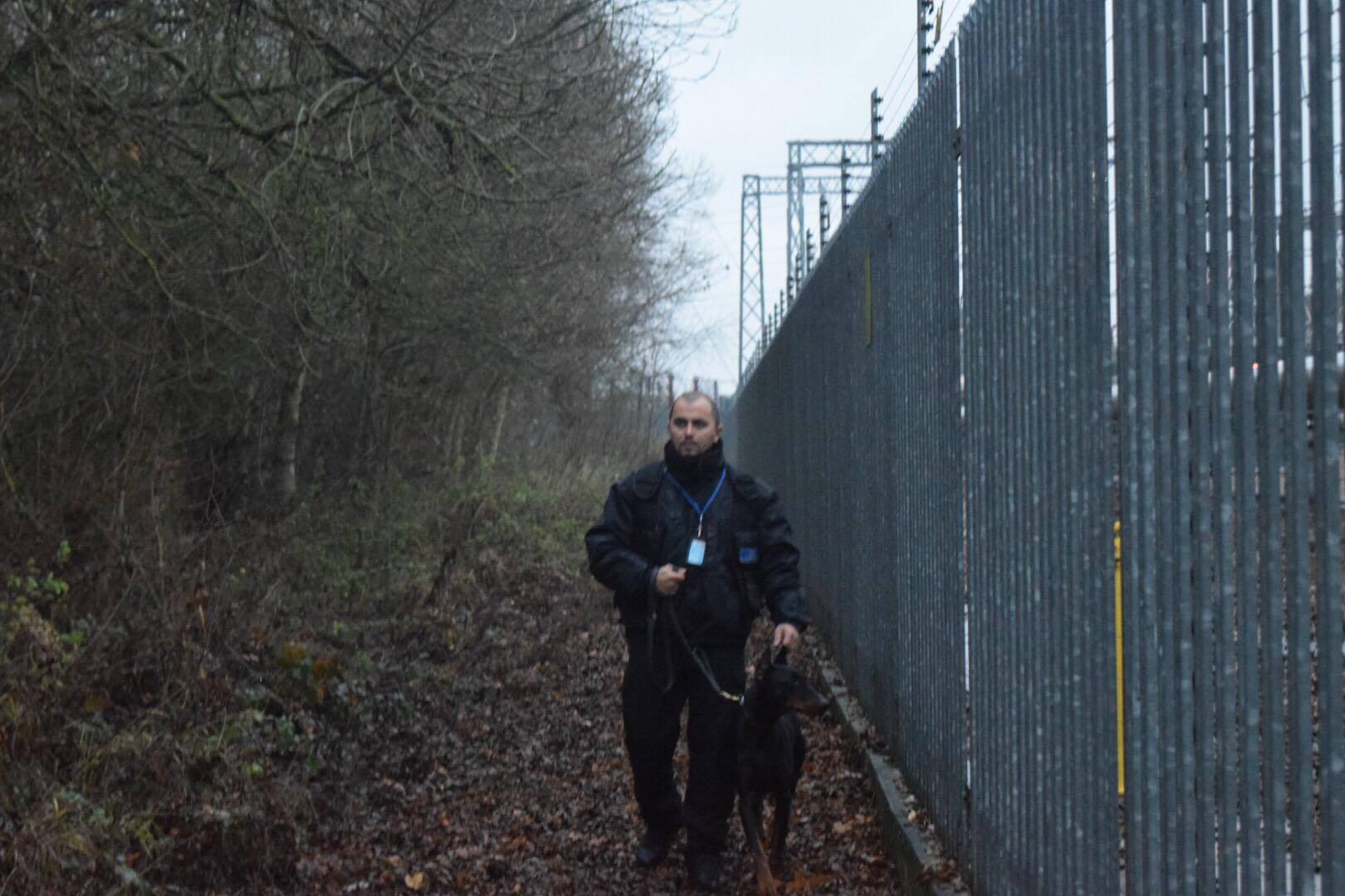 Dog-and-handler training